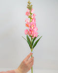 Load image into Gallery viewer, Pink Snapdragon Stem
