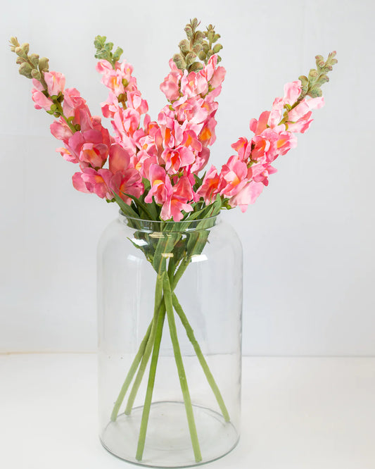 Pink Snapdragon Stem