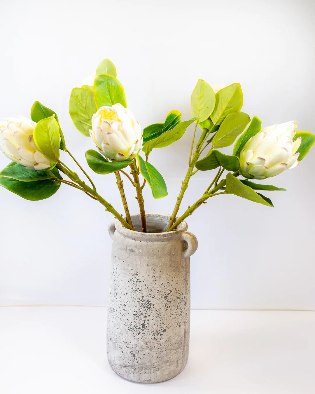 Large White Protea Stem