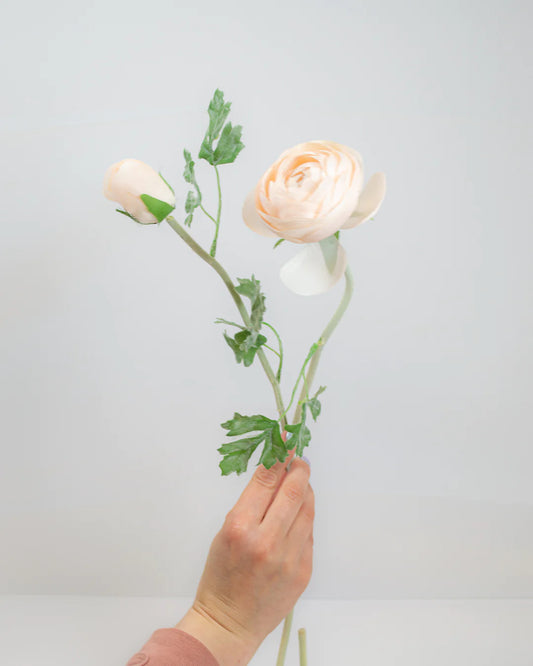 Pastel Pink Ranunculus Stem