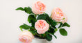 Load image into Gallery viewer, Real-Touch Rose Stem - Blush
