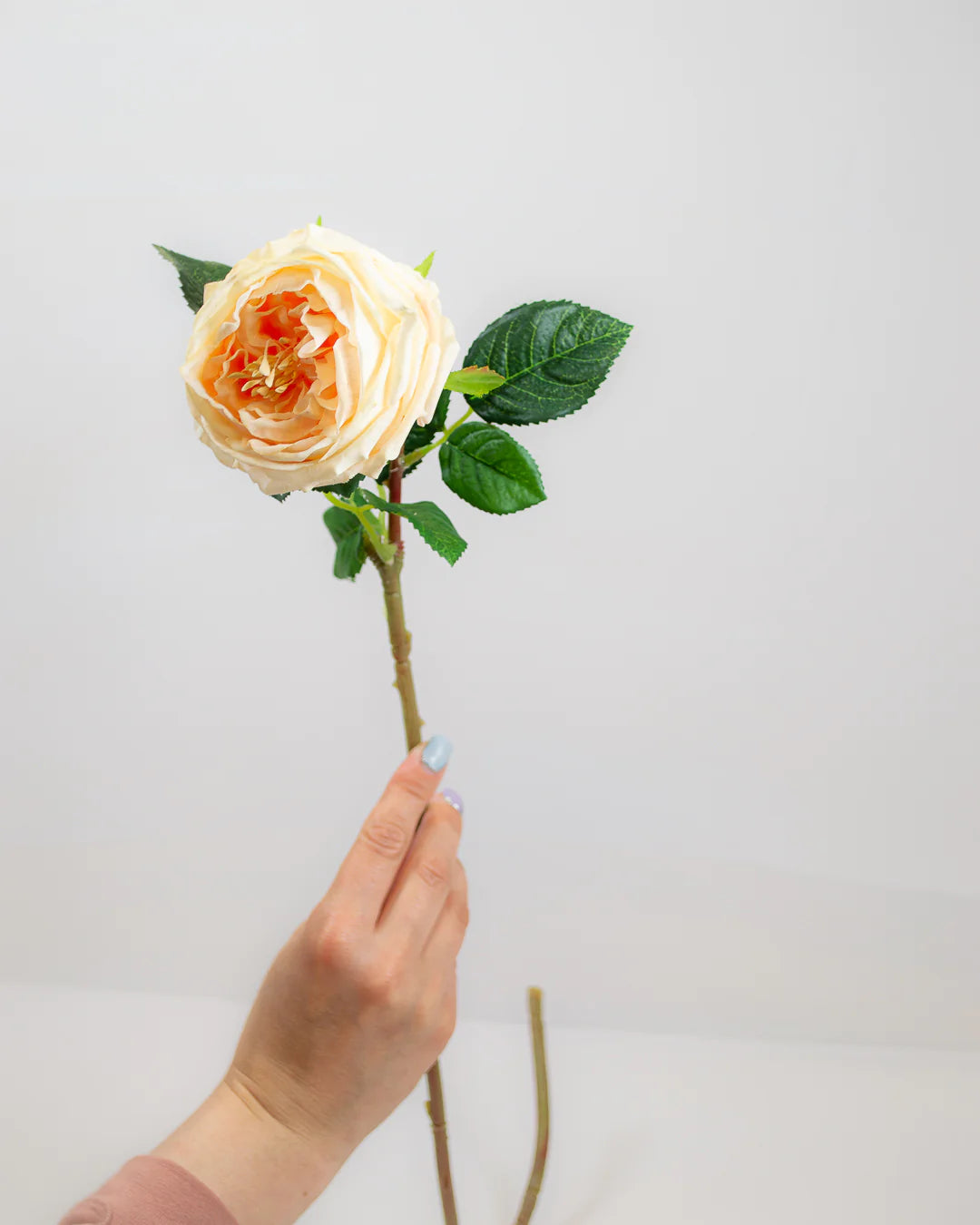 Real-Touch Rose Stem - Peach