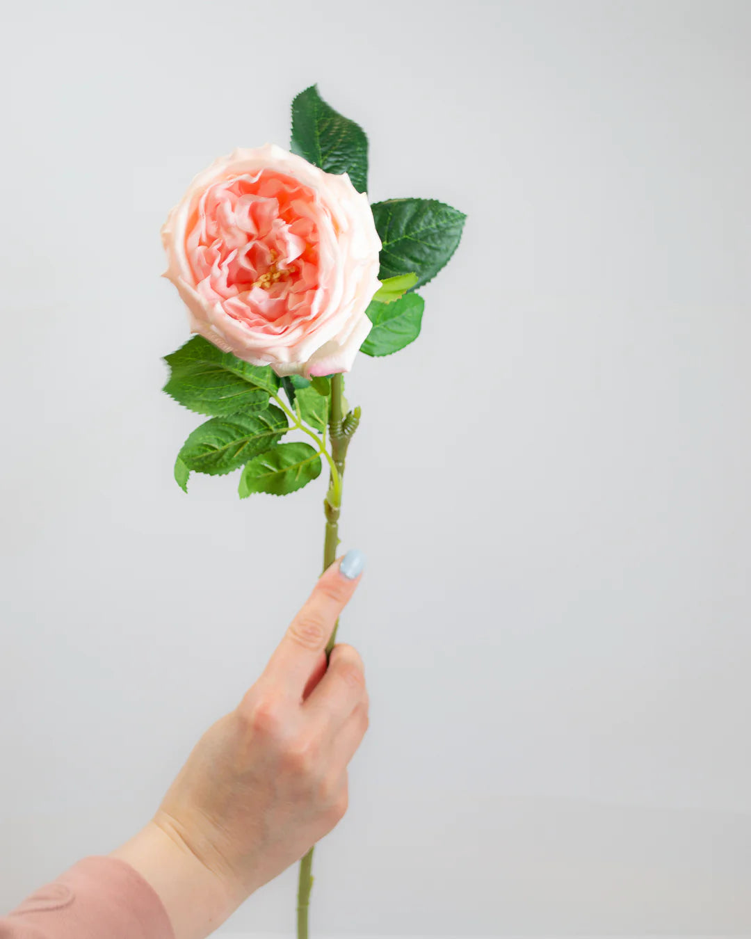 Real-Touch Rose Stem - Blush