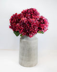 Load image into Gallery viewer, Ruby Small Petal Hydrangea
