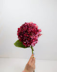 Load image into Gallery viewer, Ruby Small Petal Hydrangea
