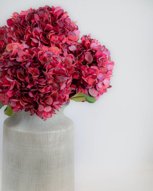 Ruby Small Petal Hydrangea